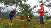 Proper merupakan penghargaan bagi dunia usaha yang menunjukkan kinerja luar biasa dalam pengelolaan lingkungan hidup. Penghargaan terhadap dunia usaha dilakukan melalui proses evaluasi terhadap ketaatan peraturan pengelolaan lingkungan hidup, penerapan sistem manajemen lingkungan, efisiensi energi, konservasi air, pengurangan emisi, perlindungan keanekaragaman hayati, limbah B3 dan limbah padat Non B3 serta pemberdayaan masyarakat. Foto: dok. KLHK