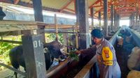 Polsek Lingsar Dukung Kampung Sehat Lewat Inovasi Biogas Kotoran Sapi