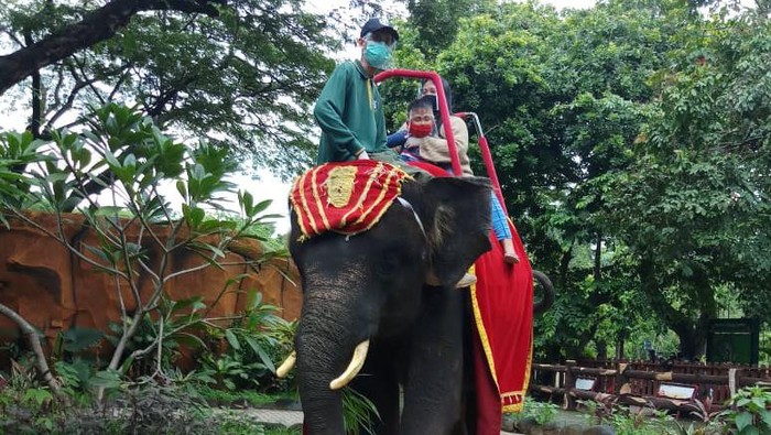 tunggang gajah di kbs