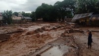 Berdasarkan data BPBD Kabupaten Flores Timur sebanyak 23 warga meninggal dunia akibat banjir bandang tersebut.