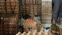 Pentingnya mempersiapkan lansia untuk vaksinasi agar vaksin bisa bekerja dengan optimal, selain cukup istirahat, juga asupan gizi terutama makanan mengandung protein tinggi, mineral, dan vitamin C, D, dan zinc. Rendahnya nutrisi dan penurunan imunitas tubuh bisa menyebabkan vaksinasi covid-19 tidak optimal. Foto: dok. Noriyu