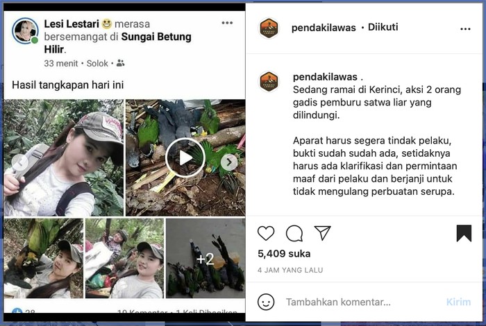 Mbak-mbak pemburu burung langka di Gunung Kerinci