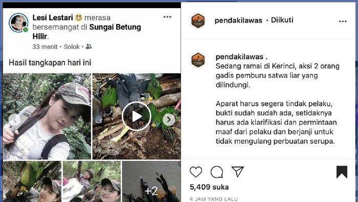 Mbak-mbak pemburu burung langka di Gunung Kerinci