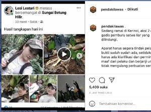 Balai TN Kerinci Identifikasi Burung Langka yang Ditembak Pemburu Wanita