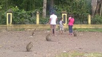 Ada sebuah rest area yang menjadi tempat favorit bagi pengguna jalan Pemalang-Purbalingga. Adalah rest area Candi Batur yang berada di Desa Bulakan, Kecamatan Belik, Pemalang (Robby Bernardi/detikTravel)