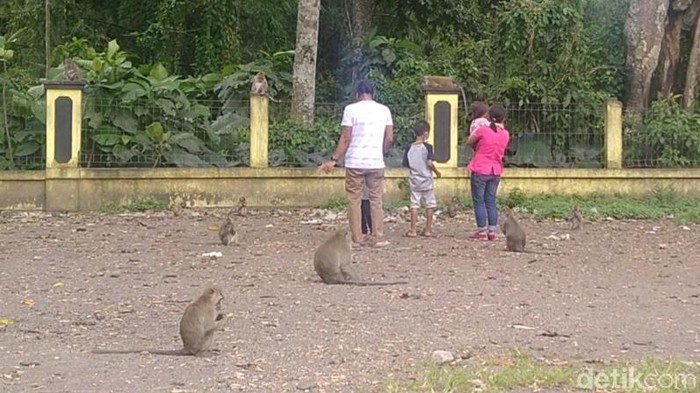 Rest Area Candi Batur