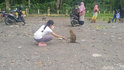 Potret Rest Area Pemalang yang Mistis dan Jadi Markas Monyet