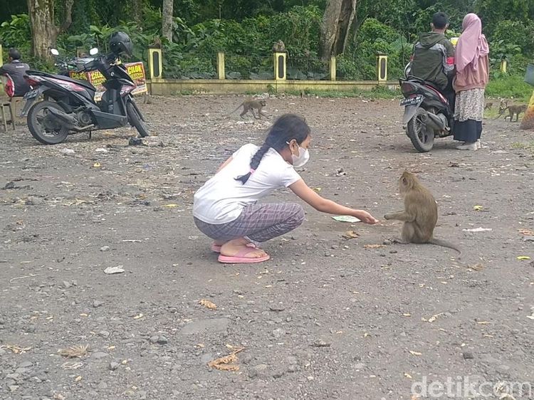 Potret Rest Area Pemalang yang Mistis dan Jadi Markas Monyet