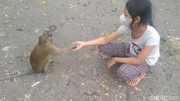 Rest Area Candi Batur