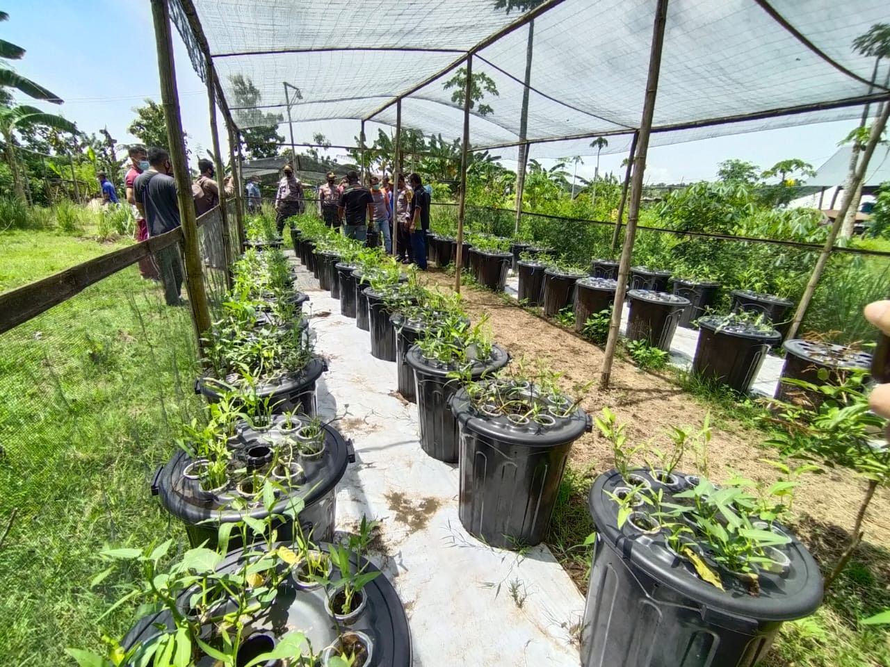 Rumah bibit di Sumbawa