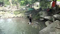 Di balik pepohonan tinggi ini, pengelola kawasan wisata Wai Batu, menyiapkan dua kolam renang. Masing-masing, untuk anak-anak dan dewasa, cocok menjadi tempat bagi traveler merelaksasi diri dari rutinitas kerja sehari-hari.