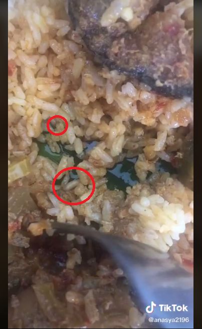 Jijik! Wanita Ini Temukan Belatung dalam Bungkusan Nasi Padang