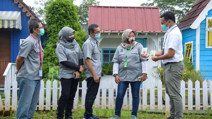 Budidaya Sayuran Hidroponik Perusahaan produsen benih sayuran PT East West Seed Indonesia (EWINDO) terus mendukung budidaya sayuran secara hidroponik guna memenuhi kebutuhan pasar.