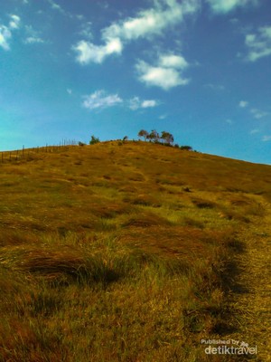 Bukit Rimpi Pelaihari, Wisata di Atas Awan