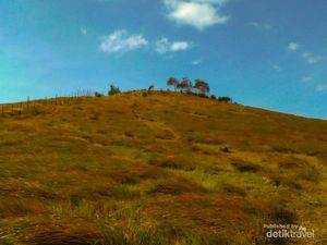 Bukit Rimpi Pelaihari, Wisata di Atas Awan