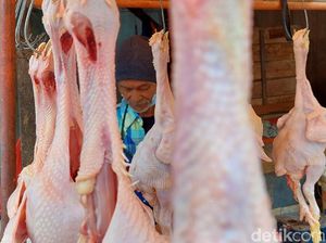 Ayam Ras hingga Daging Sapi Pacu Inflasi Bulan Ini 