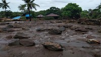 BPBD Kabupaten Lembata masih melakukan pendataan terkait kerugian materil yang disebabkan oleh banjir bandang tersebut. Sementara itu, jalan akses menuju Kecamatan Ile Ape Timur masih terputus sehingga belum bisa dilakukan pendataan. (dok BNPB)