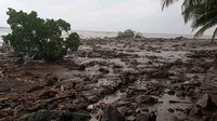 BPBD Kabupaten Lembata mencatat wilayah yang terdampak banjir adalah Desa Waowala, Desa Tanjung Batu, dan Desa Amakaka yang berada di Kecamatan Ile Ape. Selain itu banjir bandang juga berdampak pada Desa Jontona, Desa Lamawolo, dan Desa Waimatan yang berada di Kecamatan Ile Ape Timur. (dok BNPB)