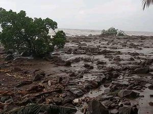 Tentang Banjir di Nusa Tenggara, Cek di Sini Penyebab dan Karakteristiknya