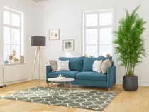 Boleh Nggak Sih Meletakkan Sofa di Depan Jendela? Ini Jawabannya