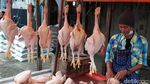 Jelang Ramadhan, Harga Ayam Potong di Bandung Tembus Rp 40 Ribu