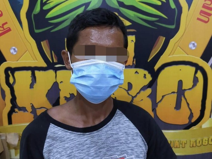 persetubuhan di lumajang