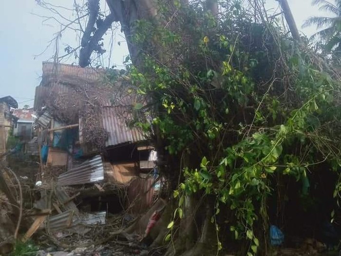 Pohon tumbang berdiri lagi di Tanjungbalai, Sumatera Utara