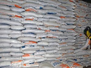 Cadangan Beras Pemerintah di Bulog Makin Tipis, Badan Pangan: Sangat Bahaya!