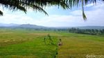 Foto: Bersepeda di Hutan Amazon ala Purbalingga
