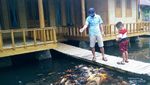 Desa Wisata di Garut, Tidur di Rumah Panggung, Menikmati Suara Jangkrik