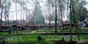 Desa Wisata di Garut, Tidur di Rumah Panggung, Menikmati Suara Jangkrik