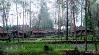 Rumah panggung