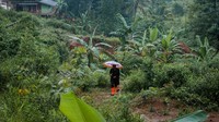 Seorang warga berjalan di sekitar rumah yang telah tertimbun tanah di Desa Banjarsari, Lebak, Banten.  
