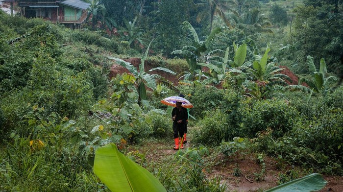 Heningnya Kampung Cigobang yang Mati Tak Berpenghuni Ratusan kepala keluarga memilih tinggalkan Kampung Cigobang usai banjir bandang dan longsor melanda Lebak setahun yang lalu. Kampung itu kini jadi kampung mati.