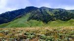 Keliling Bromo dengan Motor, Mau Coba?
