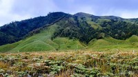 Cantiknya kawasan Bromo