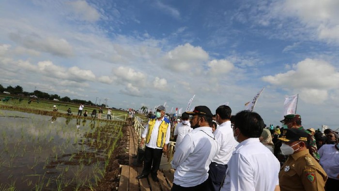 Kementan