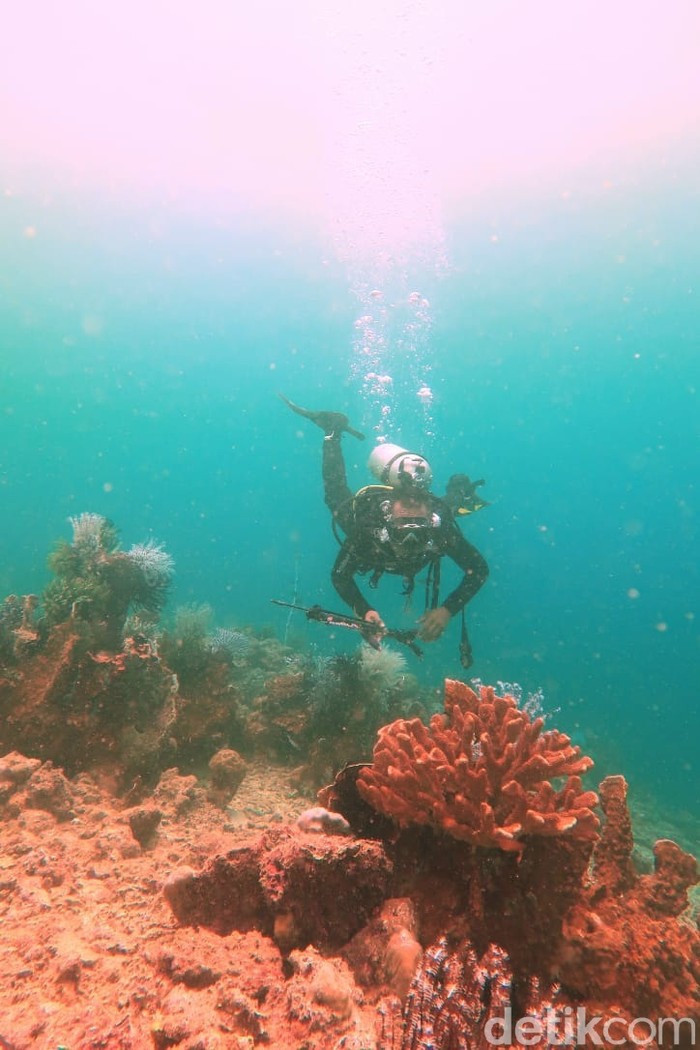 laut Muara Badak