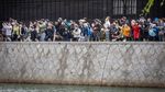 Melihat Estafet Obor Olimpiade Tokyo di Perahu Chintoro