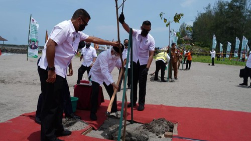 Mitigasi Dampak Tsunami, Wapres Maruf Tanam Pohon di Pantai Kata Sumbar
