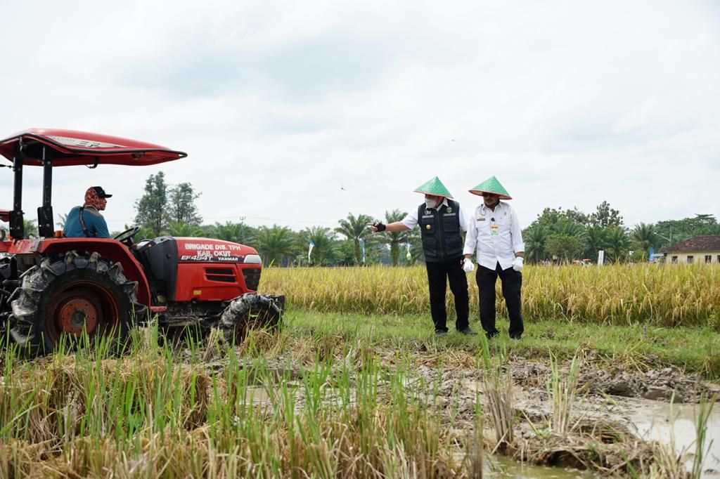 Menteri Pertanian Syahrul Yasin Limpo melakukan panen raya bersama Gubernur Sumatera Selatan (Sumsel) Herman Deru di Desa Srikaton, Buay Madang, OKU Timur