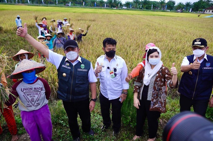 Menteri Pertanian Syahrul Yasin Limpo melakukan panen raya bersama Gubernur Sumatera Selatan (Sumsel) Herman Deru di Desa Srikaton, Buay Madang, OKU Timur