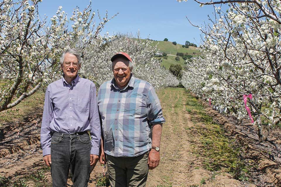 Andy Mariani, Satu-Satunya Petani yang Tersisa di Silicon Valley