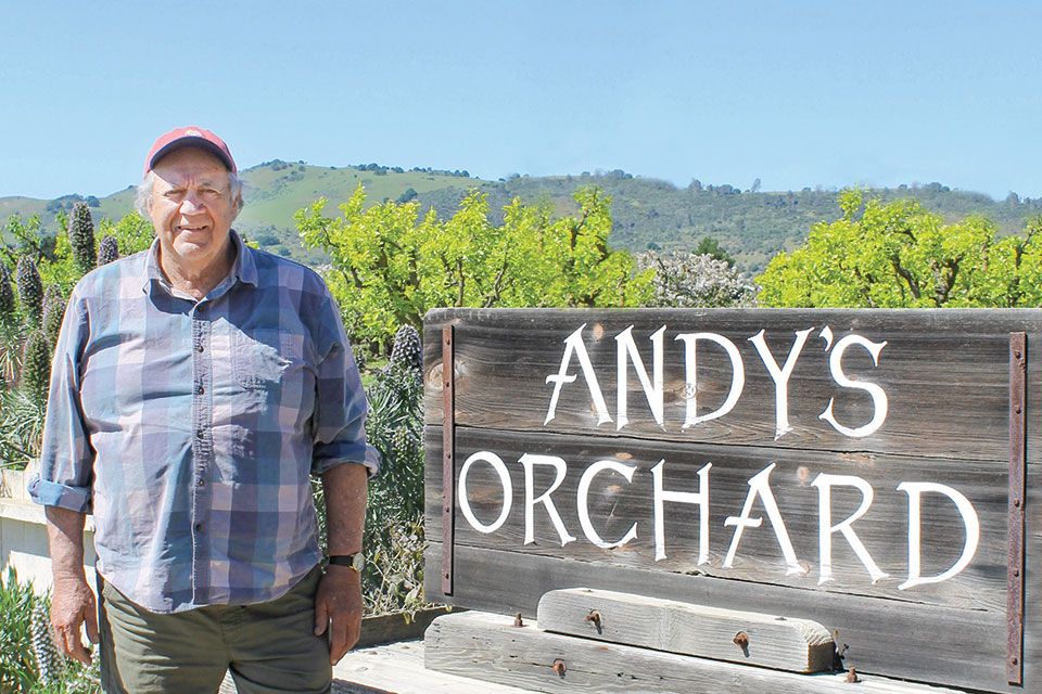 Andy Mariani, Satu-Satunya Petani yang Tersisa di Silicon Valley