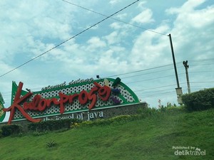 Kulon Progo Bikin 100 Event Wisata Tahun Ini, Simak Daftar Unggulannya