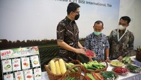 Kerjasama antara keduanya akan berlangsung hingga lima tahun ke depan. Eden Farm selaku pihak pertama akan menyediakan dan mengelola lahan seluas 12.000 hektar (Ha) bersama mitra petani di Pulau Jawa dan Sumatra. Kelak lahan tersebut akan dikelola dan ditanami berbagai jenis cabai, seperti cabai rawit, cabai keriting, hingga cabai besar.