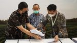 Upaya Meningkatkan Produksi Cabai Berkualitas
