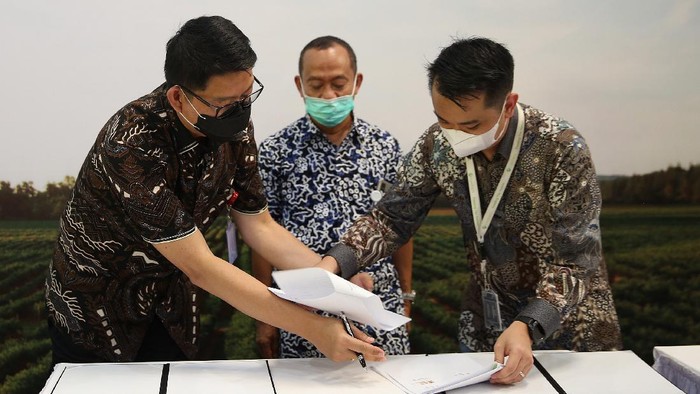Produsen benih hibrida, PT BISI International Tbk (BISI) melakukan kerja sama dengan Eden Farm dalam menyediakan produk pangan berkualitas untuk petani.