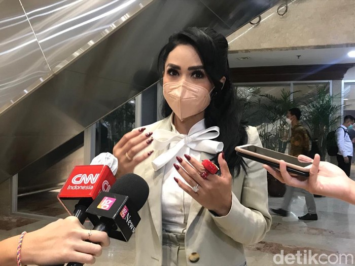 Anggota DPR Komisi IX Fraksi PDIP sekaligus penyanyi Krisdayanti (KD) (Eva Safitri/detikcom)