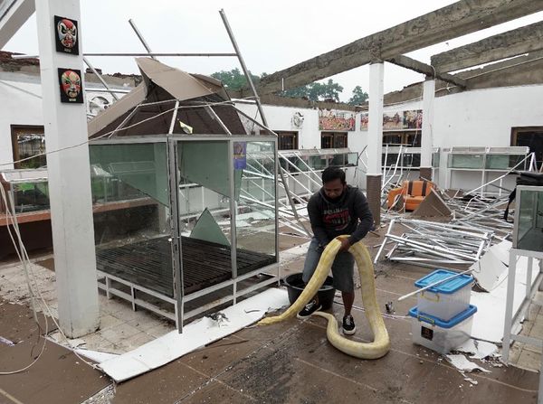 Atap Taman Reptil Purbalingga Roboh Diterjang Angin Kencang